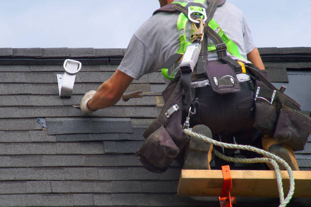 Best Roof Repair Services  in Centralia, MO