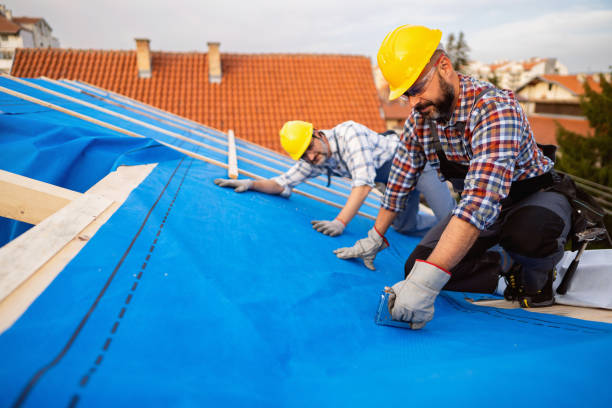 Best Storm Damage Roof Repair  in Centralia, MO